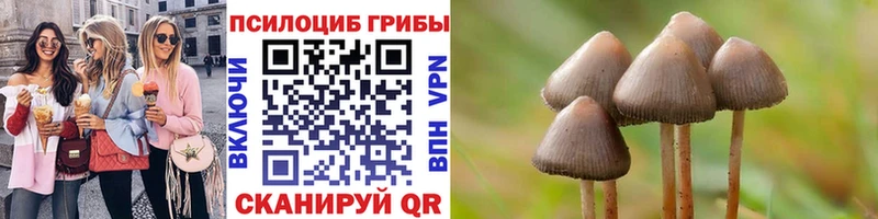Галлюциногенные грибы GOLDEN TEACHER  Бологое 